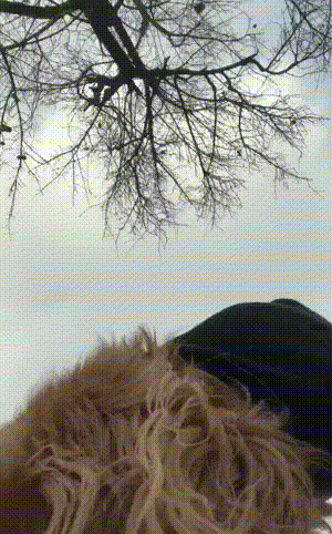 江苏服务区真不错，整的像个景点似的