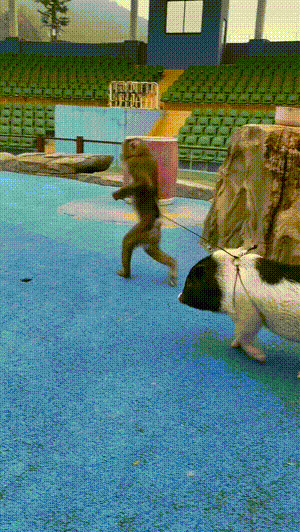 来感受一下国外新款健身器材